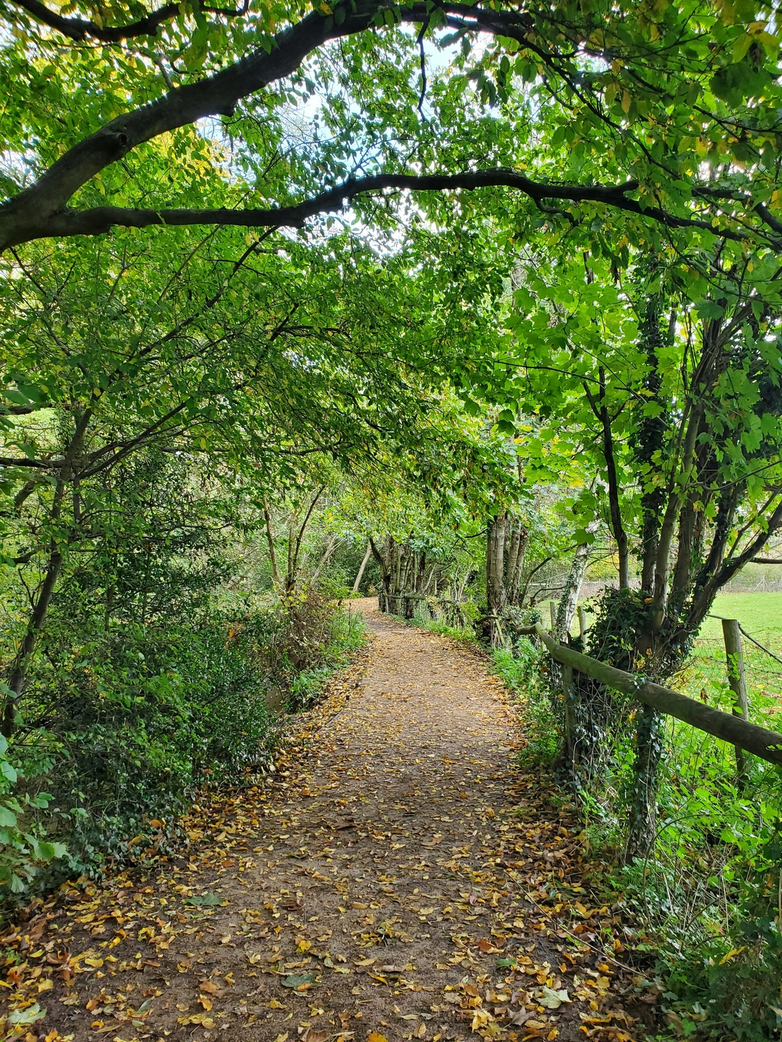 Ernährungsberatung für Firmen Schleiden/Kall